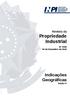 Revista da Propriedade Industrial. Nº de Dezembro de Indicações Geográficas Seção IV