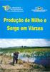 Producão de Milho e. Sorgo em Várzea