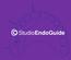 StudioEndoGuide. Introduzindo. StudioEndoGuide