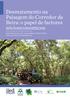 Desmatamento na Paisagem do Corredor da Beira: o papel de factores sócioeconomicos