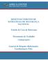 DESENVOLVIMENTO DE ESTRATÉGIA DE SEGURANÇA NACIONAL. Estudo de Caso de Botswana. Documento de Trabalho (Anteprojeto)