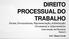 DIREITO PROCESSUAL DO TRABALHO Partes, Procuradores, Representação, Substituição Processual e Litisconsórcio