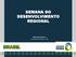 SEMANA DO DESENVOLVIMENTO REGIONAL. Alexandre Navarro Secretário Executivo - MI