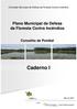 Comissão Municipal de Defesa da Floresta Contra Incêndios. Plano Municipal de Defesa da Floresta Contra Incêndios. Concelho de Pombal.