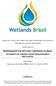 DIMENSIONAMENTO DE WETLANDS CONSTRUÍDOS NO BRASIL. DOCUMENTO DE CONSENSO ENTRE PESQUISADORES E PRATICANTES.