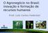 O Agronegócio no Brasil: inovação e formação de recursos humanos. Prof. Luiz Carlos Federizzi