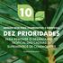 AGENDA 2020 PARA COMMODITIES E FLORESTAS: DEZ PRIORIDADES PARA REMOVER O DESMATAMENTO TROPICAL DAS CADEIAS DE SUPRIMENTOS DE COMMODITIES