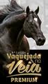 Lote NEW APOLLO VERDE MACHO - 19/09/ ZAINO - VEND.: HARAS JOEL GONÇALVES E HARAS SANTA TEREZINHA VENDA DE COBERTURAS