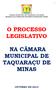 O PROCESSO LEGISLATIVO