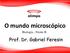 O mundo microscópico Biologia - Frente B. Prof. Dr. Gabriel Feresin