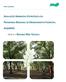 PROF ALGARVE AVALIAÇÃO AMBIENTAL ESTRATÉGICA DO PROGRAMA REGIONAL DE ORDENAMENTO FLORESTAL ALGARVE FASE II RESUMO NÃO TÉCNICO