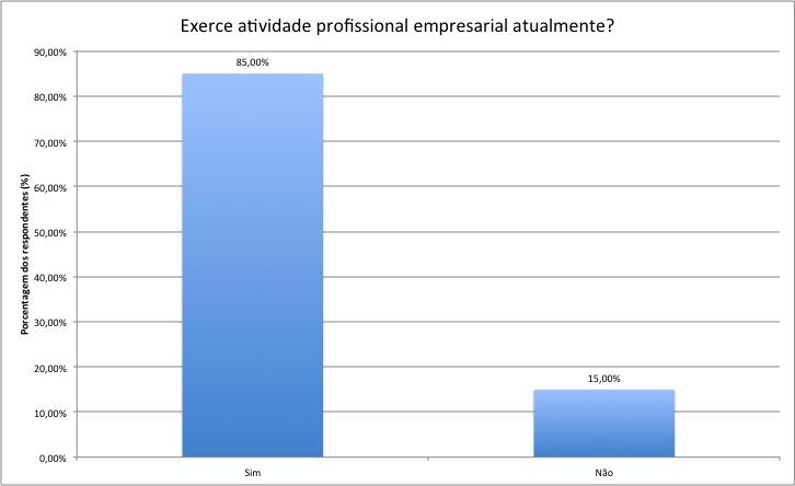 Figura 15. Execução de atividade profissional empresarial no momento de pesquisa.