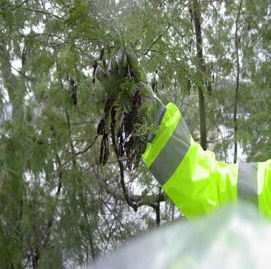 objectivo desta tarefa é de criar uma base de