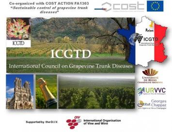 Response of four Portuguese grapevine cultivars to infection by Phaeomoniella chlamydospora J. SOFIA 1,2, M. MOTA 2, M. T. GONÇALVES 1, C.