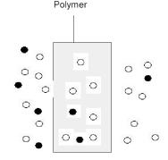 Fundamentos Teóricos Figura 2. 2 Diferentes tipos de membranas simétricas e assimétricas [4]. Polímero (a) (b) (c) Líquido Selector Figura 2.
