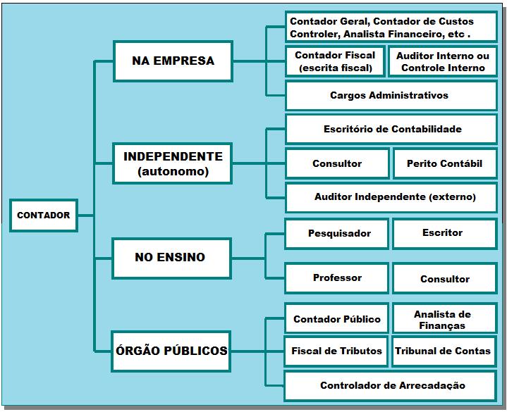 1.4 AS ÁREAS DE ATUAÇÃO DO CONTADOR O Contador pode exercer responsabilidades, nas áreas de atuação