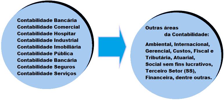 1.5.1 O Ramo de atividade do profissional contábil Na Contabilidade Financeira (Contabilidade Geral), quando aplicada às atividades específicas, recebe uma nova roupagem consideram-se as