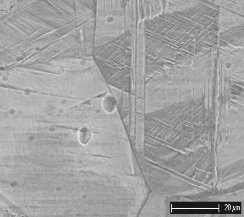 2704 Figura 6. Micrografias da liga fundida e laminada/solubilizada a 700 C obtidas em microscópio eletrônico de varredura, laminadas com redução de 40% na espessura. Aumento 3000x.