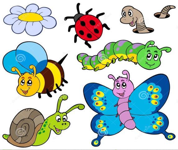 Projetos I se mestre 2019 GF/G E G6 Professora Amanda e Anna Letícia Os pequenos animais, como as borboletas, as abelhas, as moscas, joaninhas, minhocas, aranhas, formigas e outros, causam grande
