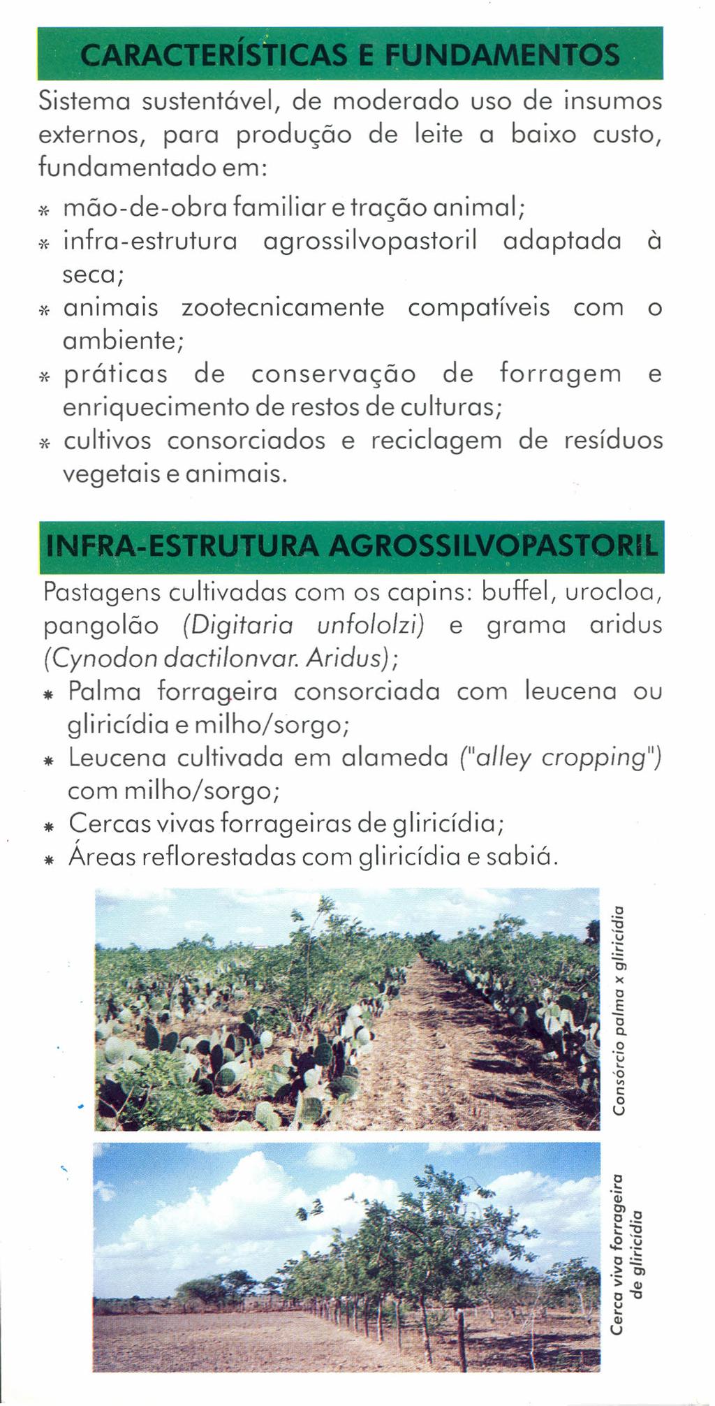 Sistema sustentável, de moderado uso de insumos externos, para produção de leite a baixo custo, fundamentado em: * mão-de-obra familiar e tração animal; * infra-estrutura agrossilvopastoril adaptada