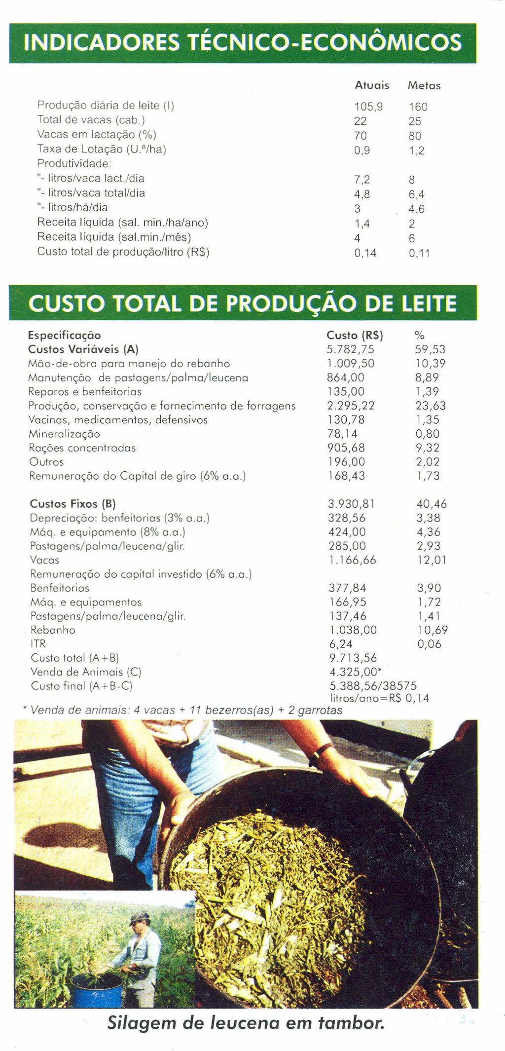 INDICADORES TÉCNICO-ECONÔMICOS Produção dia ria de leite (I) Total de vacas (cab.