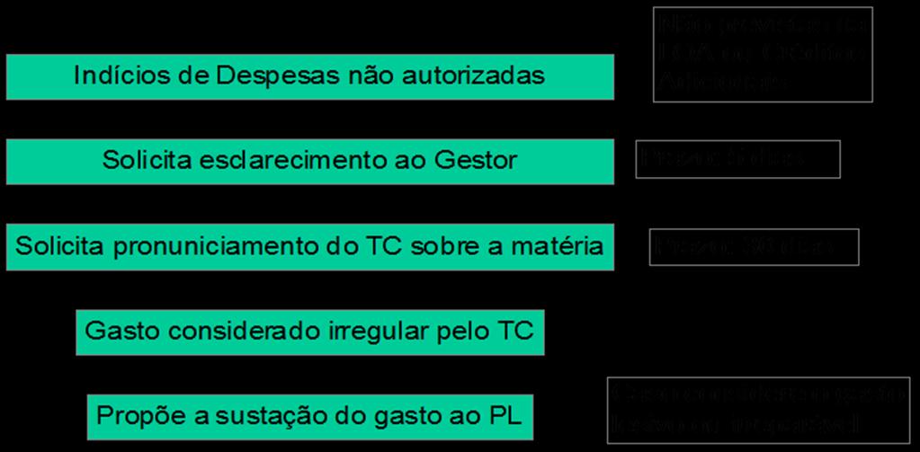 A Comissão de Orçamento, no exercício da fiscalização da execução do orçamento, poderá solicitar esclarecimento ao gestor e até pronunciamento conclusivo ao Tribunal de Contas caso seja detectado