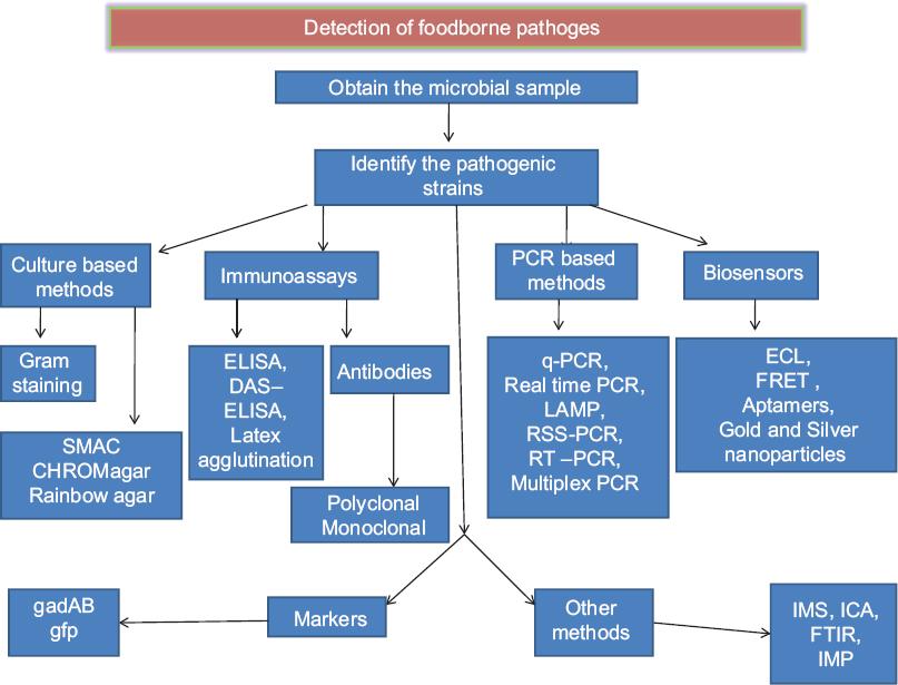 Metodologia para detecção