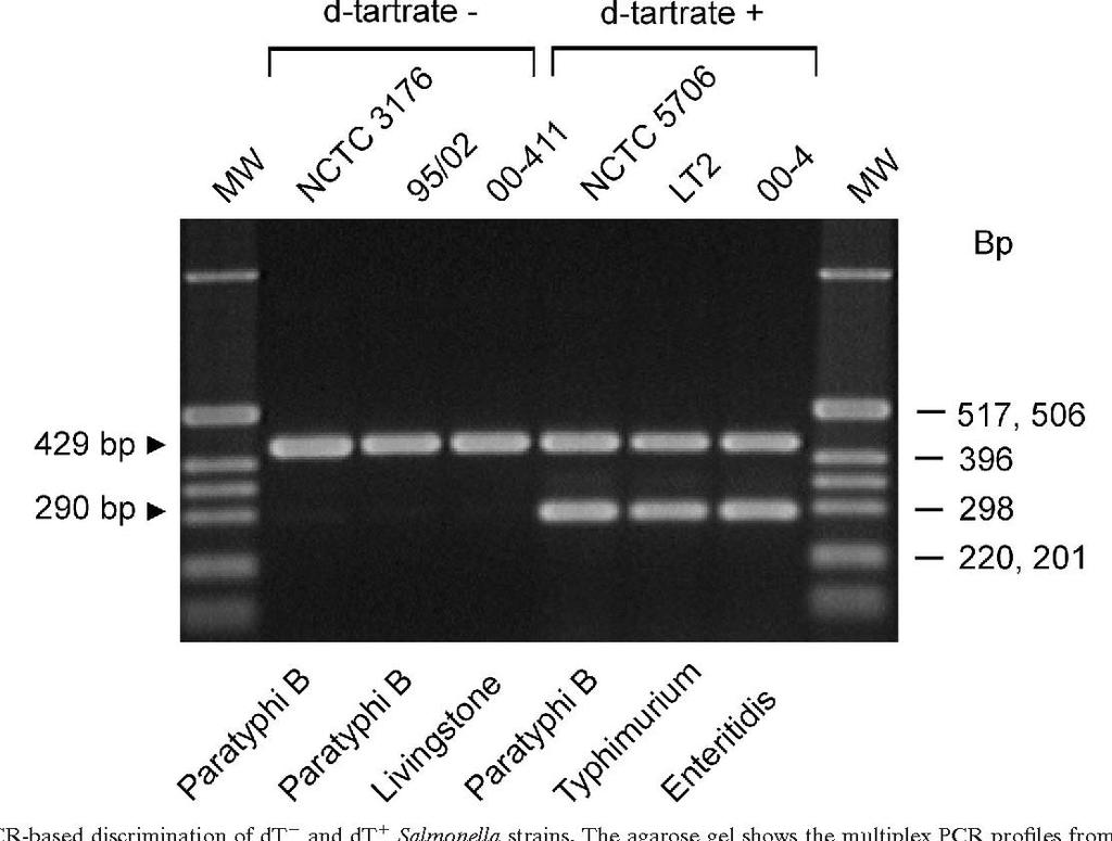 Detecção molecular