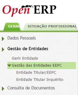 A partir daí, os representantes da entidade proprietária (utilizadores associados aos cargos Responsável da Entidade e Representante da Entidade Titular que assina o contrato) têm acesso ao