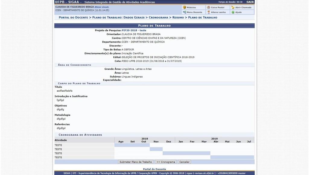 Ao final, clicar em Visualizar Plano de Trabalho Ao conferir o Resumo do Plano de Trabalho, clicar em Submeter