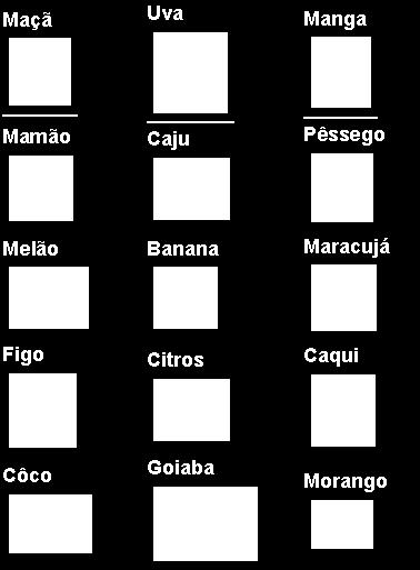 Características Básicas da PI