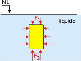O resultado de todas as forças de pressão que o fluido exerce no corpo é o empuxo: F 2 - F 1 = E O empuxo é o resultado da