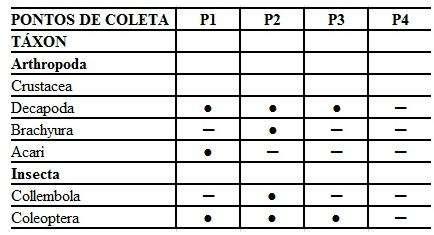 Tabela 1: Táxons encontrados nos Pontos de Coleta no Rio Caramborê, na Reserva de Desenvolvimento Sustentável da Barra do Una (Peruíbe/SP). *Observação: Legenda: Presença do táxon ( ).