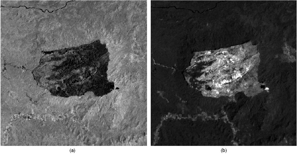 Figura 10 - Imagens de fração geradas pelo MLME a partir das bandas 1-5 e 7 da imagem Landsat 5-TM de