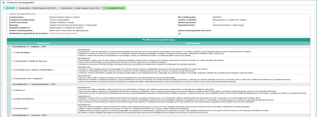 Colaborador 2 Que informação encontro na minha ficha de desempenho no separador Perfil?