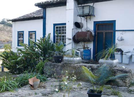 cafeeiro. Porém, alguns pesquisadores confirmam a existência dessas estruturas.