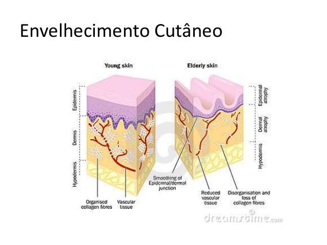 Formação