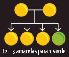 Geração filha 2 (F2):