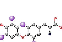 Glândula tireóide Tiroxina (t4) Triiodotironina (t3) A forma mais ativa