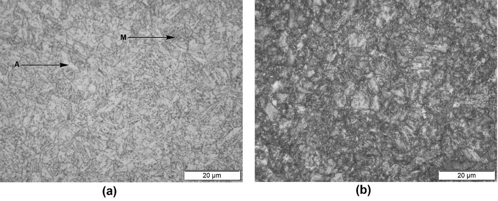 Figura 3: Microscopia ótica da seção transversal dos corpos de prova tratados termicamente.