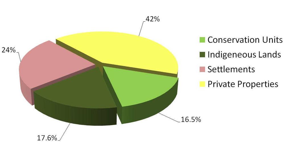 Divisão total de C-REDD Amazônicos Unidades de Conservação Terras Indígenas