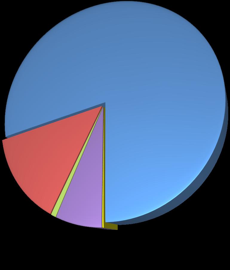 tipo de contacto 7% 1% 0% 14% Os/as utentes que recorreram ao GAV de Lisboa em 2011 optaram, na maioria das situações,por contactar telefónicamente (79%).