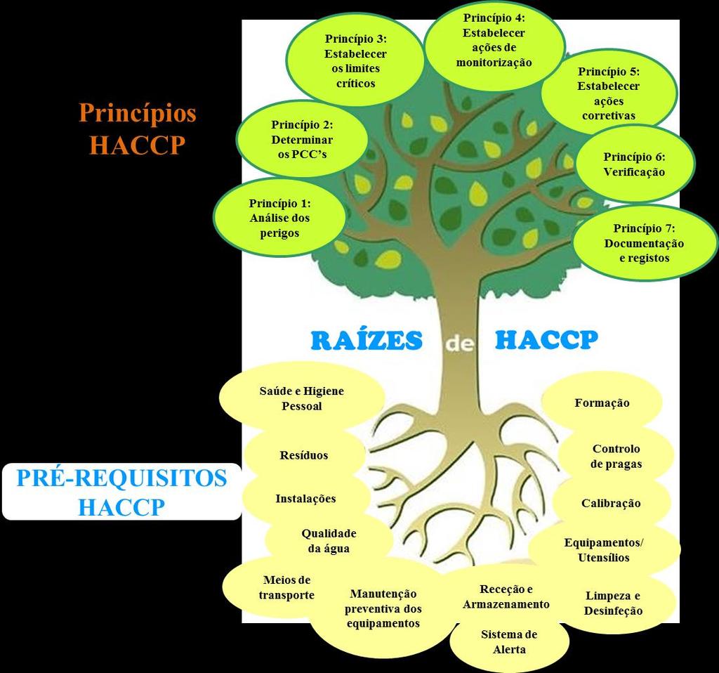Figura 2. Princípios HACCP e programa de pré-requisitos.