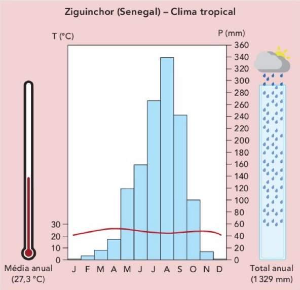 Tropical úmido - temperaturas elevadas no verão(40 c) e amenas no inverno (20c).