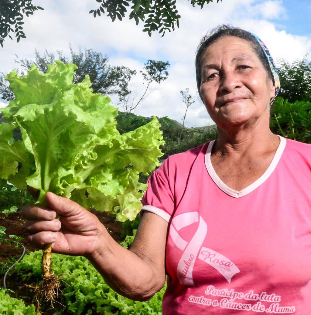 O Cenário A CONAFER está buscando expandir sua base no estado de São Paulo, e para isso conta com a ajuda de todos os Sindicatos, Associações, Organizações, Entidades e Coletivos que se somam a ela