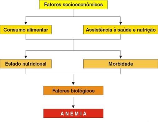 13 Figura 2 Modelo hierárquico dos fatores determinantes da anemia. Fonte: Osório (2002, vol.78, p.