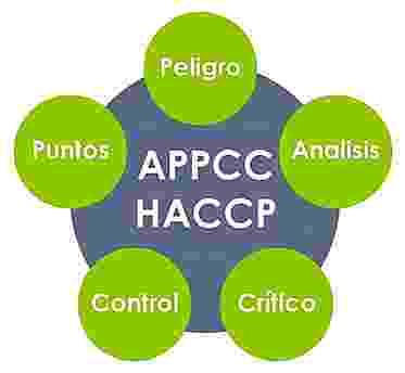 OS 7 PRINCIPIOS DO HACCP SISTEMA DE MAIOR RECONHECIMENTO