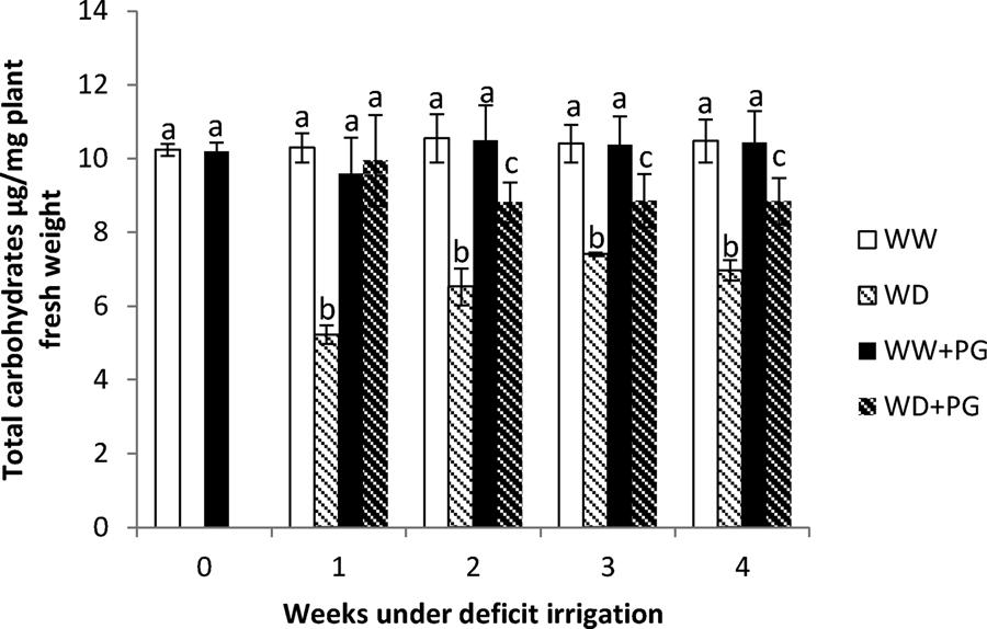 FOTOSSÍNTESE, CARBOIDRATOS TOTAIS E ANÁLISE NUTRICIONAL Alterações no carboidrato total durante 4 semanas: WD: inibição da fotossíntese redução ± 40% no total de