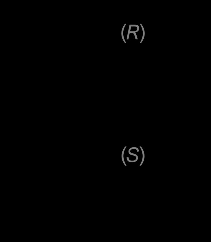 1. INTRODUÇÃO De acordo com o efeito estudado da aplicação de glutamato (forma ionizada do ácido glutâmico) no aumento da capacidade