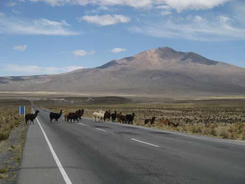 www.saberesbolivianos.com http://saberesbolivianos.com/investigadores/cardozo/2abopa.